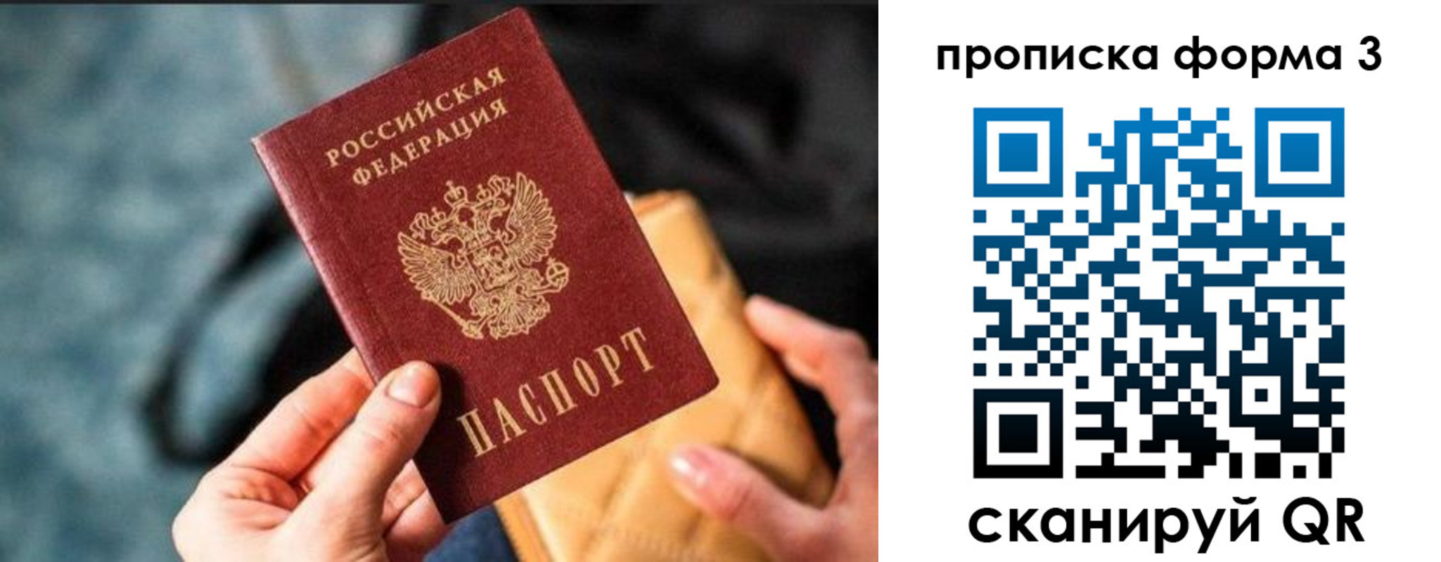 прописка гарантия в Мурино